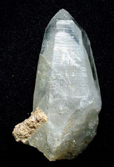 �R�����b�{�s�������Y�t�@���g���|�C���g0002