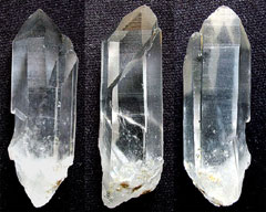 �R�����b�{�s�������A�����|�C���g0006