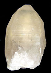 �R��������z�R�Y�X���[�L�[����������