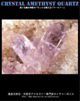 雨塚山産紫水晶　激珍品エステレル双晶