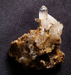 ���Y�Z�v�^�[�����t���~�j�N���X�^�[