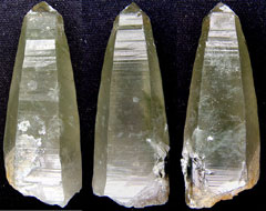 �R���E�������Y�ΐ�������