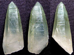 �R���E�������Y�ΐ�������