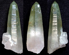 �R���E�������Y�ΐ�������