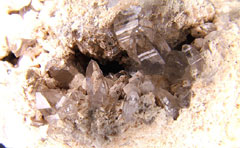 ���ΗނƃX���[�L�[�̃N���X�^�[