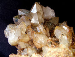 �R���Y�O���[���X���[�L�[�N���X�^�[