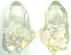 ���{���o���t���̃^�r�[�O���[���X���[�L�[