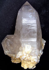 �X���[�L�[�t�@���g��