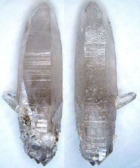 �J�e�h����W�w�b�h�E�O���[���X���[�L�[