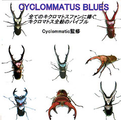 �L�N���}�g�X�u���[�XPDF��