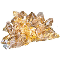 ����R�Y���{���o���ƃG�X�e�����o���N���X�^�[