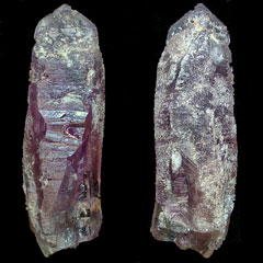 �J�ˎR�Y�������g���C�S�[�j�b�N�A�C�X�W�F�l���[�^�[