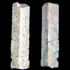 �A�}�]�i�C�g�E�o�x�m���o��