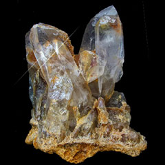 ���{���o���t���N���X�^�[