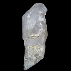 �����R�Y�Z�v�^�[�W�F�l���[�^�[