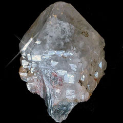 �G���X�`�����Z�v�^�[