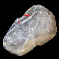 �W���J���[�t�@���g��W�w�b�h�W�F�l���[�^�[