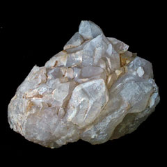 �R���������R�Y�����N���X�^�[