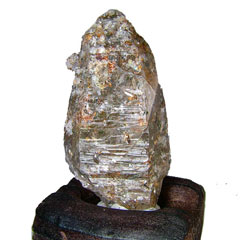 �|�X�Y�h���o�C�g�C���X���[�L�[