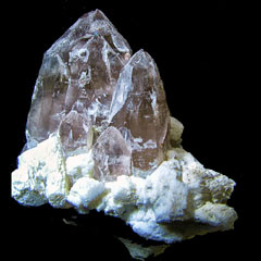 �X���[�L�[�J�e�h�����E�R���X���C�V�����N���X�^�[